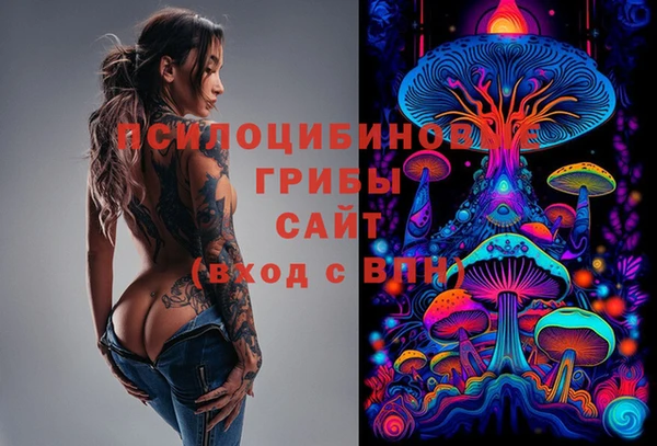 каннабис Корсаков