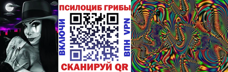 где найти   Михайловка  Псилоцибиновые грибы GOLDEN TEACHER 