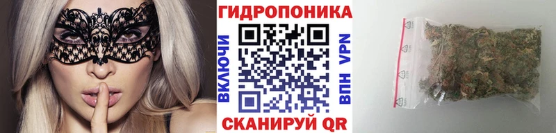 Каннабис семена  darknet официальный сайт  Михайловка  купить наркотики сайты 